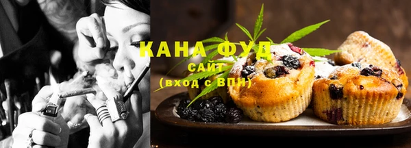 МДПВ Инсар