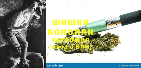 хмурый Инта