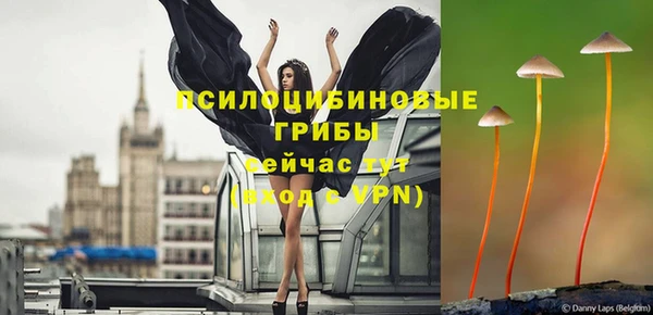 apvp Иннополис