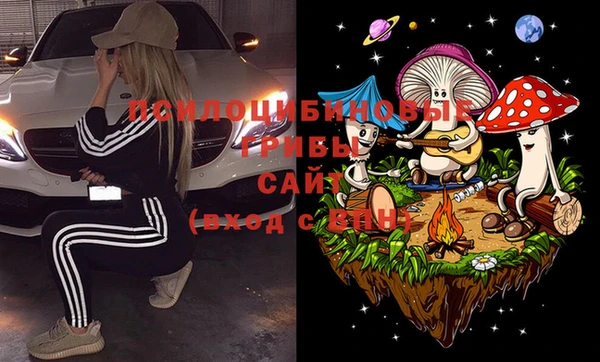 apvp Иннополис