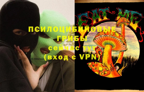 apvp Иннополис