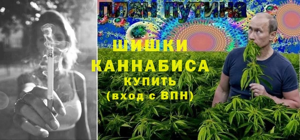 МДПВ Инсар