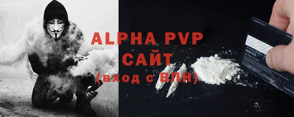 apvp Иннополис