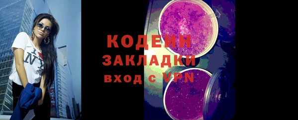 МДПВ Инсар