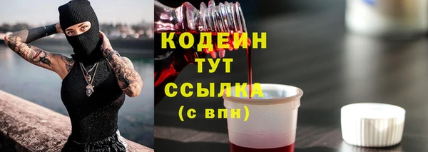 apvp Иннополис