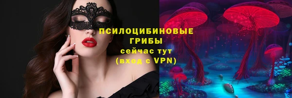 apvp Иннополис