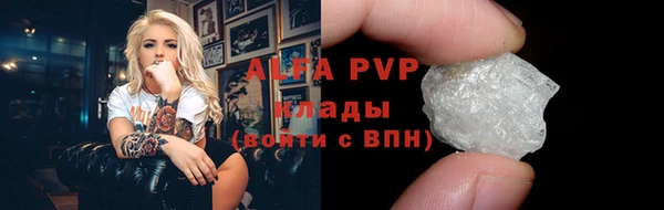 хмурый Инта