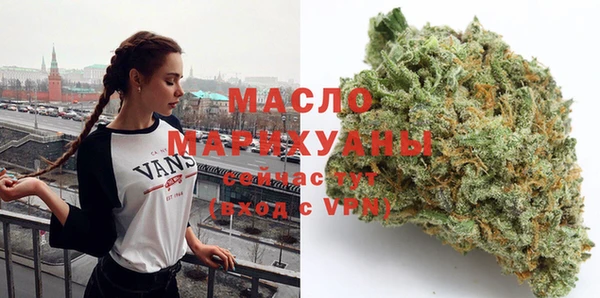 МДПВ Инсар