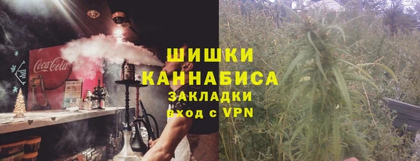 хмурый Инта