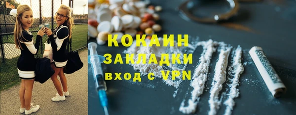 хмурый Инта