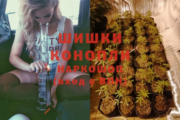 МДПВ Инсар