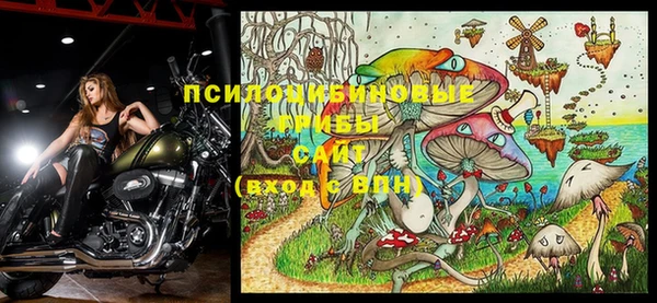 МДПВ Инсар