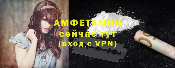 apvp Иннополис