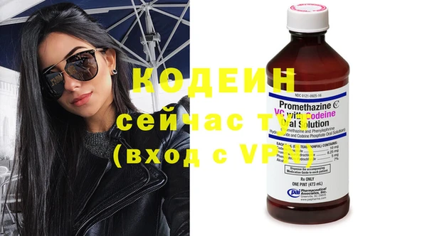 хмурый Инта