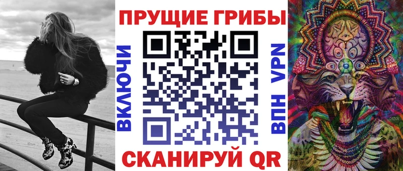 Купить где  Приволжск  Галлюциногенные грибы Magic Shrooms 
