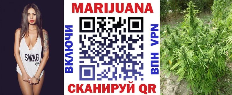 Купить закладки  Приволжск  Марихуана SATIVA & INDICA 